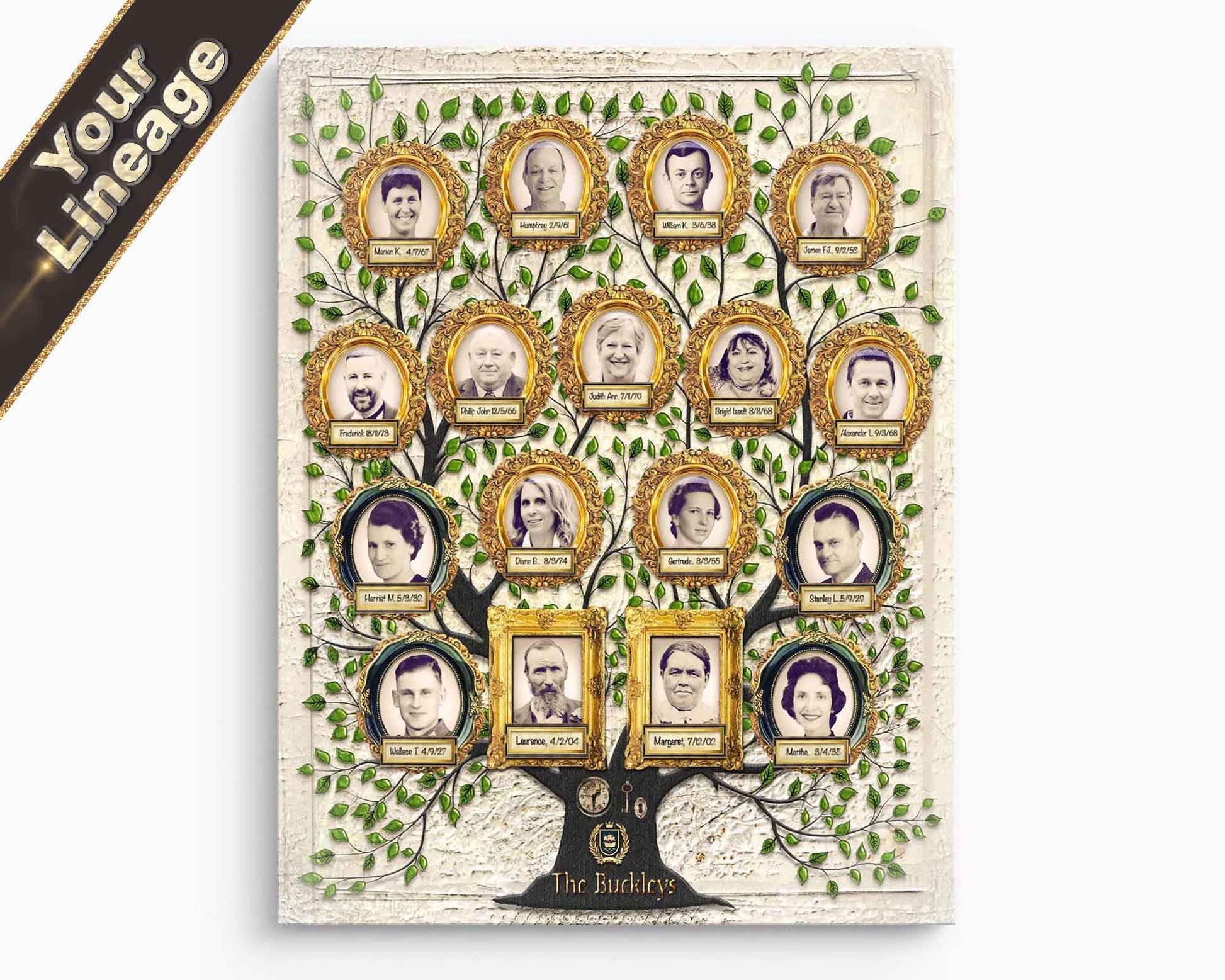 Family tree with portraits on a white background